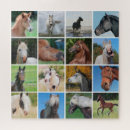 Search for funny horse puzzles Horses