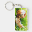Search for snail key rings Animal