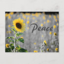 Search for correspondence cards Black and white