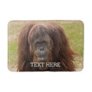 Search for woodland bathroom accessories Wildlife