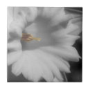 Search for daffodil tiles Floral