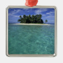 Search for reef christmas tree decorations Ocean