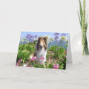 Search for sable cards Dogs