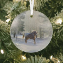 Search for appaloosa horse christmas tree decorations Snow