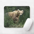 Search for bear paw mousepads Animals in the wild