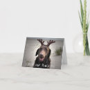 Search for chocolate lab christmas cards Labrador