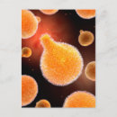 Search for microb postcards Infection