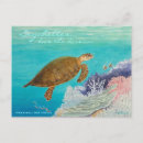 Search for turtle painting postcards Islands
