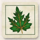 Search for 1 of colours coasters Autumn