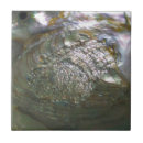 Search for abalone tiles Shell