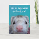 Search for ferret cards Animal