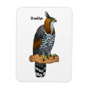 Search for hawking magnets Eagle