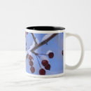 Search for engelbrecht mugs Usa