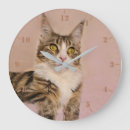 Search for maine coon cat art Tabby