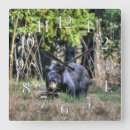Search for bear cub art Animal lovers