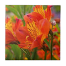 Search for peruvian tiles Flower