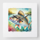 Search for cod fish Animal