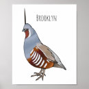 Search for quail posters Bird
