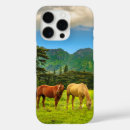 Search for horse ranch iphone cases Horses