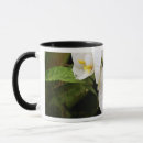 Search for gallo mugs Horizontal