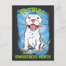 Search for pitbulls postcards White