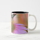 Search for oregon drinkware Outdoors