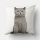 Search for british shorthair cushions Nature