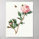Search for vintage bee art Pink