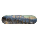 Search for akes skateboards Snow