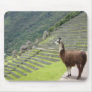 Search for aztec mousepads Inca