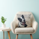 Search for border collie cushions White