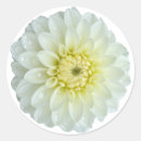 Search for dahlia stickers Summer