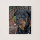 Search for rottweiler puzzles Rottie
