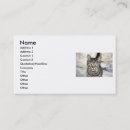 Search for egyptian business cards Animals
