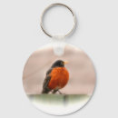 Search for robin bird key rings Wild