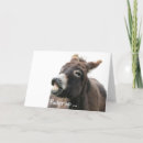 Search for donkey valentines day cards Funny