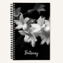Search for jasmine photography Nature