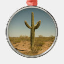 Search for desert christmas tree decorations Outdoors