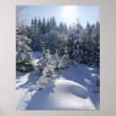 Search for cold temperature posters Winter