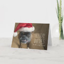 Search for white boxer dogs cards Celebration