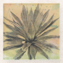 Search for desert coasters Cacti