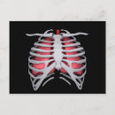 Search for lungs postcards Respiratory system