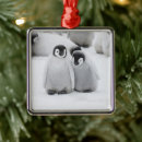 Search for animals of the wild christmas tree decorations Antarctica