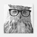 Search for owl with glasses Bird