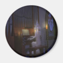 Search for ghost magnets Spectre