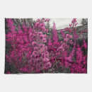 Search for fireweed Mountain