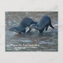 Search for otter postcards Cute