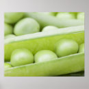 Search for pod posters Green