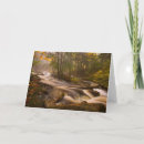 Search for appalachian cards Forest