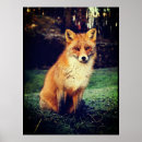 Search for foxes posters Woods